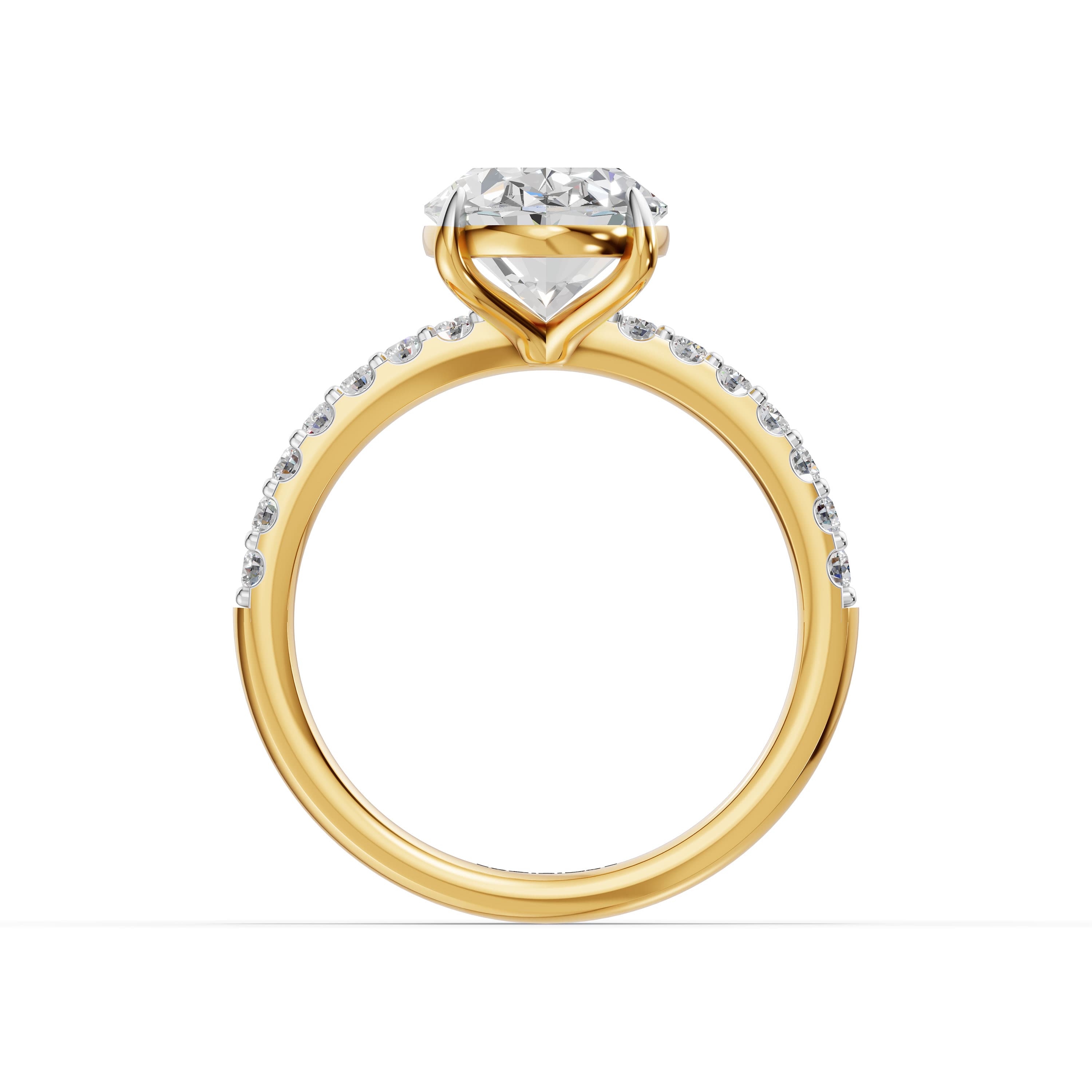 Shore Oval Halo Ring