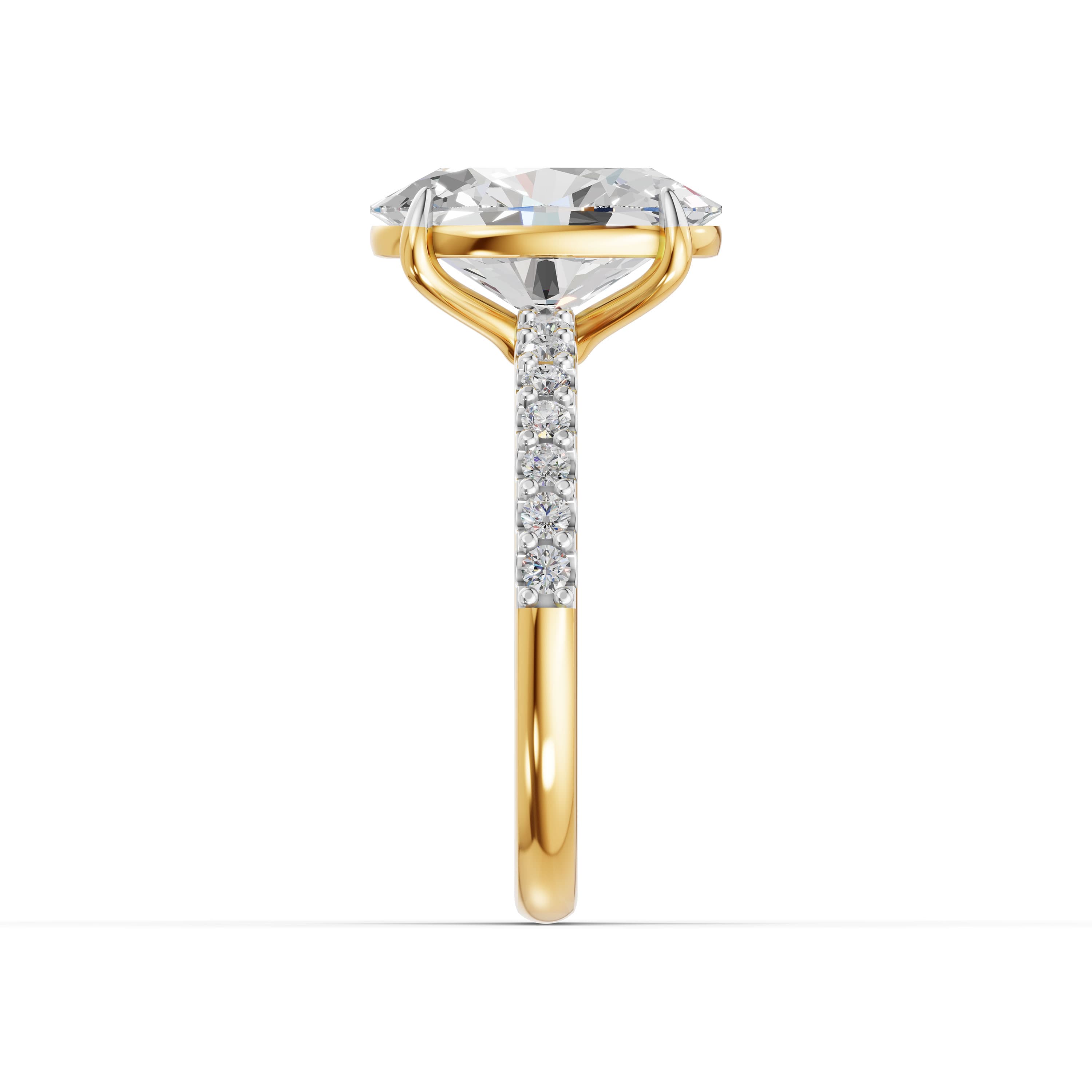 Shore Oval Halo Ring